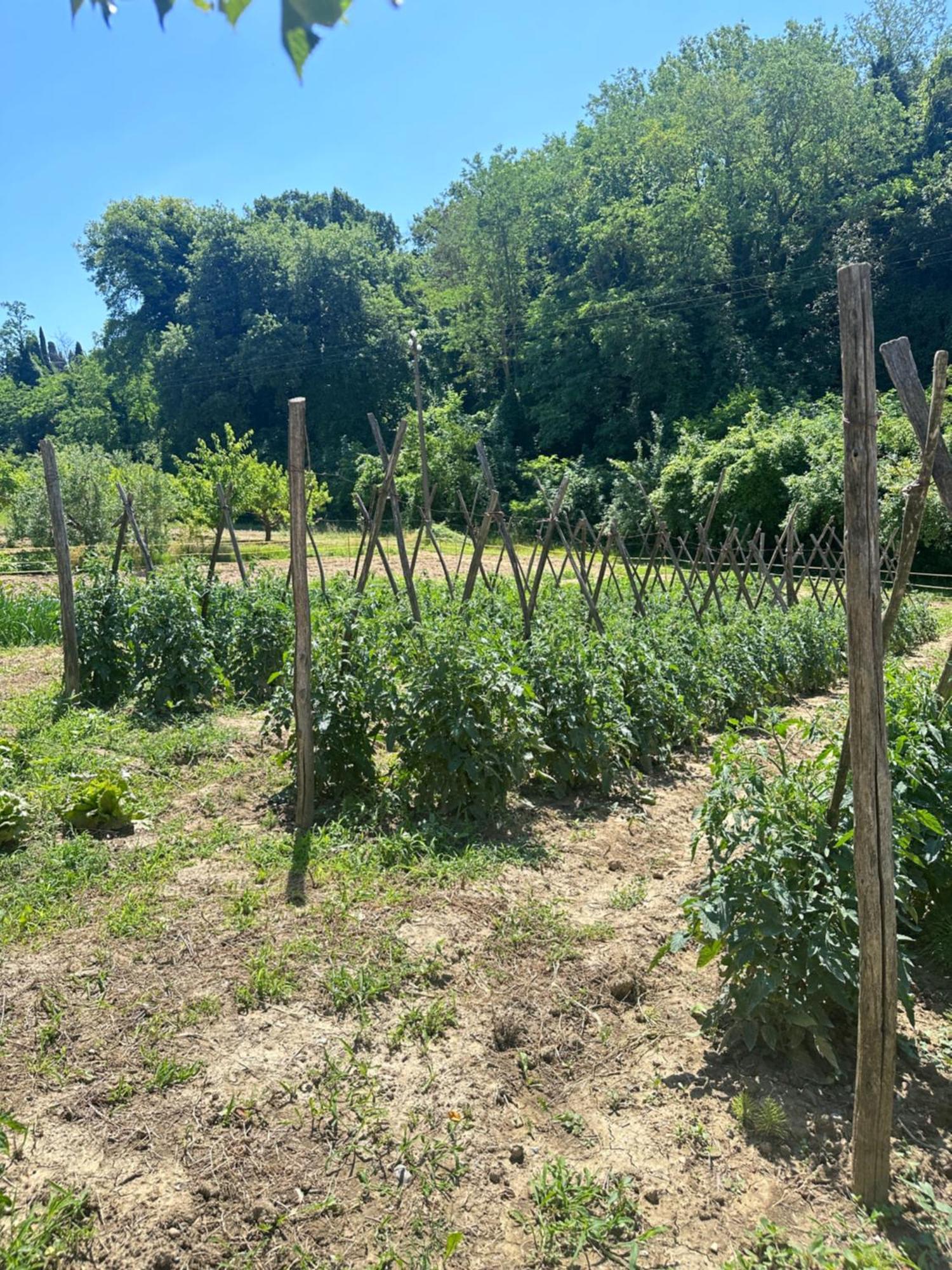 Villa Agriturismo San Biagio Montepulciano Stazione Exterior foto