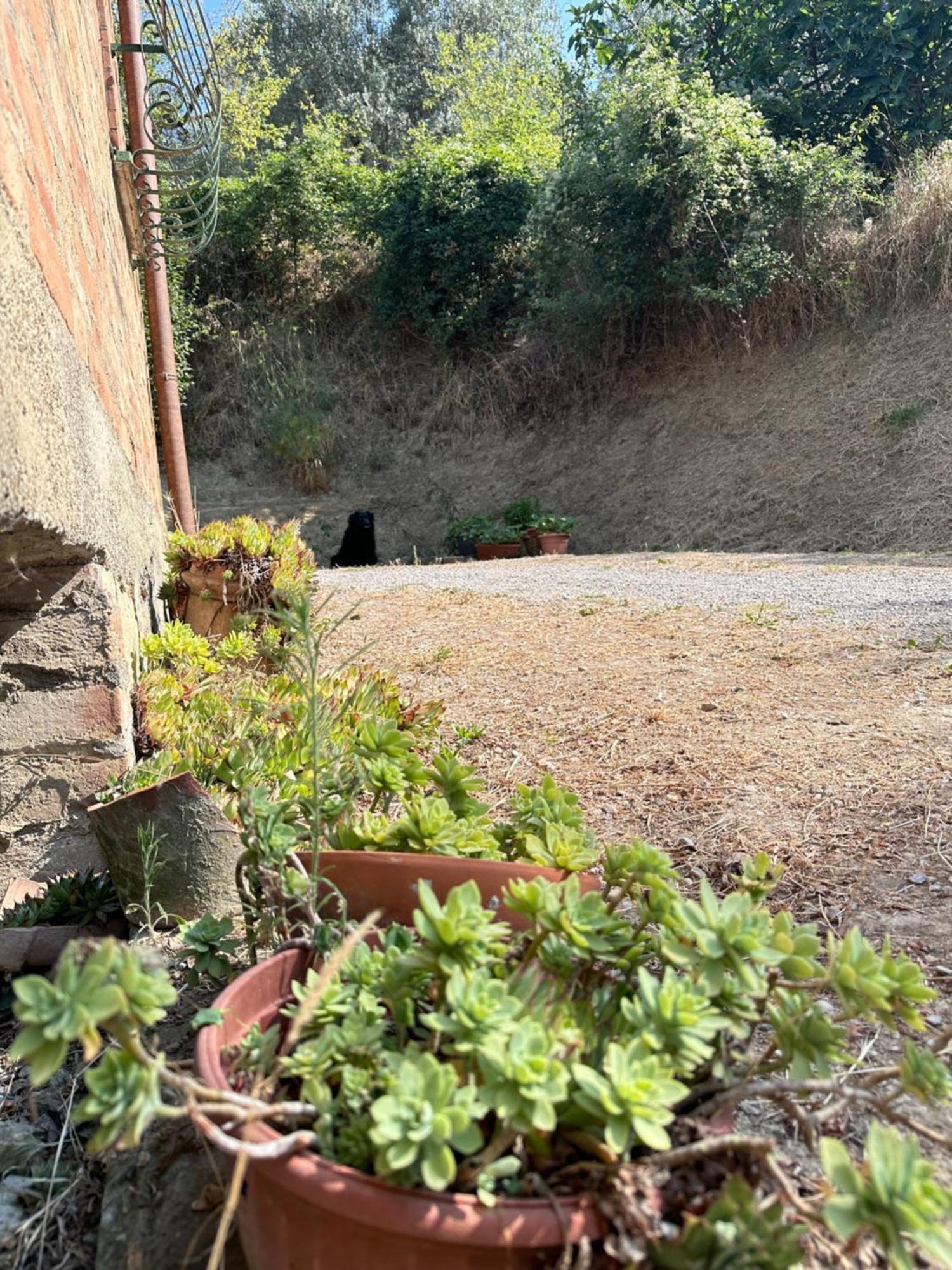 Villa Agriturismo San Biagio Montepulciano Stazione Exterior foto