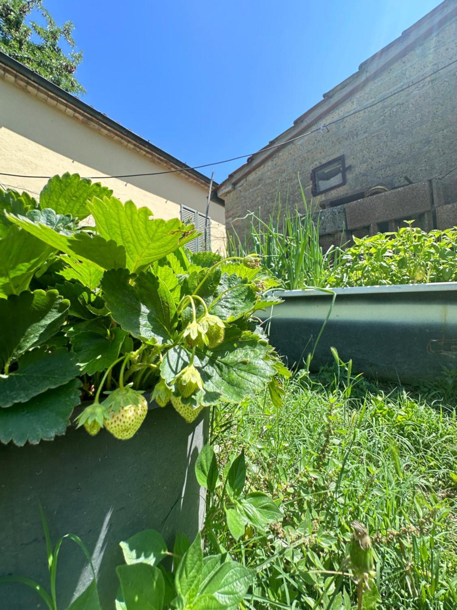 Villa Agriturismo San Biagio Montepulciano Stazione Exterior foto